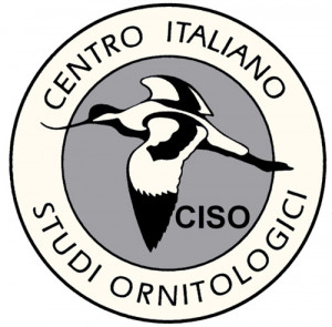 Logo_CISO_BN_4